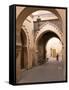 Woman in Traditional Dress Walking in Narrow Side Streets, Old Quarter, Medina, Marrakesh, Morocco-Stephen Studd-Framed Stretched Canvas