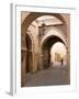 Woman in Traditional Dress Walking in Narrow Side Streets, Old Quarter, Medina, Marrakesh, Morocco-Stephen Studd-Framed Photographic Print