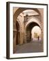 Woman in Traditional Dress Walking in Narrow Side Streets, Old Quarter, Medina, Marrakesh, Morocco-Stephen Studd-Framed Photographic Print