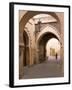 Woman in Traditional Dress Walking in Narrow Side Streets, Old Quarter, Medina, Marrakesh, Morocco-Stephen Studd-Framed Photographic Print