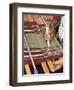 Woman in Traditional Dress, Weaving with Backstrap Loom, Chinchero, Cuzco, Peru-Merrill Images-Framed Premium Photographic Print