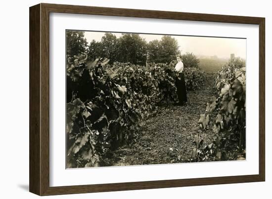 Woman in Vineyard-null-Framed Premium Giclee Print