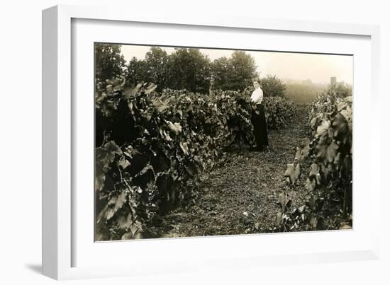 Woman in Vineyard-null-Framed Premium Giclee Print