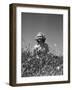 Woman in Wildflower Field-Philip Gendreau-Framed Photographic Print