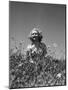 Woman in Wildflower Field-Philip Gendreau-Mounted Photographic Print