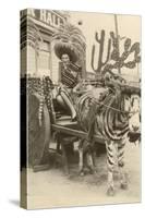 Woman in Zebra Cart, Tijuana, Mexico-null-Stretched Canvas