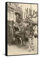 Woman in Zebra Cart, Tijuana, Mexico-null-Framed Stretched Canvas