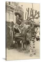 Woman in Zebra Cart, Tijuana, Mexico-null-Stretched Canvas