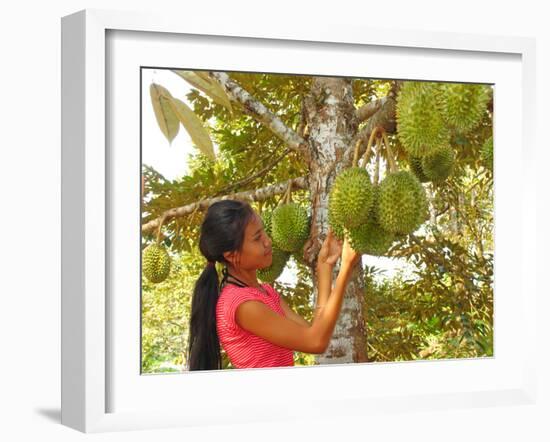 Woman Inspecting Durian Fruit-Bjorn Svensson-Framed Photographic Print