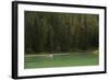 Woman Kayaking On Crystal Clear Waters Of Cliff Lake In Southwest Montana, Near West Yellowstone-Austin Cronnelly-Framed Photographic Print