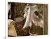 Woman Leaving Her Bath, 1877-Edgar Degas-Framed Giclee Print