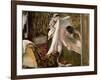 Woman Leaving Her Bath, 1877-Edgar Degas-Framed Giclee Print