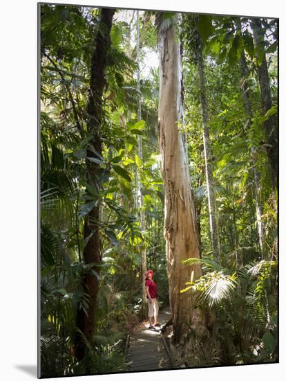 Woman Looking at Eucalyptus Tree in Flecker Botanic Gardens-Nick Servian-Mounted Photographic Print