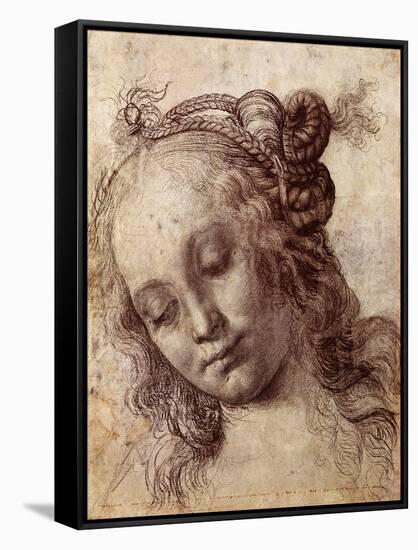 Woman Looking Down-Andrea del Verrocchio-Framed Stretched Canvas