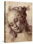 Woman Looking Down-Andrea del Verrocchio-Stretched Canvas