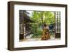 Woman looking out onto Zen garden, Kyoto, Japan-Peter Adams-Framed Photographic Print