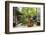 Woman looking out onto Zen garden, Kyoto, Japan-Peter Adams-Framed Photographic Print