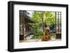 Woman looking out onto Zen garden, Kyoto, Japan-Peter Adams-Framed Photographic Print