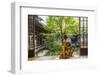 Woman looking out onto Zen garden, Kyoto, Japan-Peter Adams-Framed Photographic Print