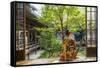 Woman looking out onto Zen garden, Kyoto, Japan-Peter Adams-Framed Stretched Canvas