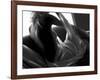 Woman Lounging-Antonino Barbagallo-Framed Photographic Print