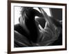 Woman Lounging-Antonino Barbagallo-Framed Photographic Print