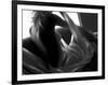 Woman Lounging-Antonino Barbagallo-Framed Photographic Print