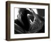 Woman Lounging-Antonino Barbagallo-Framed Photographic Print