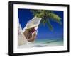 Woman Lying in a Hammock, Maldives Island-Angelo Cavalli-Framed Premium Photographic Print