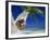 Woman Lying in a Hammock, Maldives Island-Angelo Cavalli-Framed Photographic Print