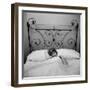 Woman Models Satin Edged Sleep Mask Displaying Lining of Gold Braid, Eyelashes and Twinkling Starts-Yale Joel-Framed Photographic Print