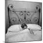 Woman Models Satin Edged Sleep Mask Displaying Lining of Gold Braid, Eyelashes and Twinkling Starts-Yale Joel-Mounted Photographic Print