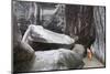 Woman next to Rocks at the Baths-Macduff Everton-Mounted Photographic Print