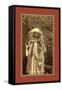 Woman of Ouled Nai-Etienne & Louis Antonin Neurdein-Framed Stretched Canvas