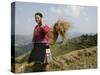 Woman of Yao Minority with Cellphone, Longsheng Terraced Ricefields, Guangxi Province, China-Angelo Cavalli-Stretched Canvas