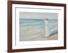 Woman on a beach-Michael Ancher-Framed Premium Giclee Print