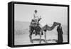 Woman on a Camel Tour, Egypt, C1920S-C1930S-null-Framed Stretched Canvas