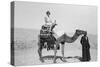 Woman on a Camel Tour, Egypt, C1920S-C1930S-null-Stretched Canvas