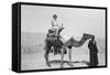 Woman on a Camel Tour, Egypt, C1920S-C1930S-null-Framed Stretched Canvas