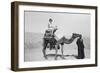 Woman on a Camel Tour, Egypt, C1920S-C1930S-null-Framed Giclee Print