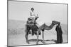 Woman on a Camel Tour, Egypt, C1920S-C1930S-null-Mounted Giclee Print