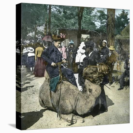 Woman on Camelback, Paris, Zoological Garden, Circa 1890-Leon, Levy et Fils-Stretched Canvas