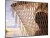 Woman on Hammock, Ari Atoll, Maldives-Angelo Cavalli-Mounted Photographic Print