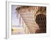 Woman on Hammock, Ari Atoll, Maldives-Angelo Cavalli-Framed Photographic Print