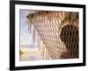 Woman on Hammock, Ari Atoll, Maldives-Angelo Cavalli-Framed Photographic Print