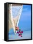 Woman on Hammock, Ari Atoll, White Sands Island-Angelo Cavalli-Framed Stretched Canvas