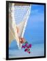 Woman on Hammock, Ari Atoll, White Sands Island-Angelo Cavalli-Framed Photographic Print