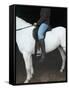 Woman on Horse-C. Lyttle-Framed Stretched Canvas