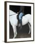 Woman on Horse-C. Lyttle-Framed Photographic Print