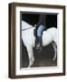 Woman on Horse-C. Lyttle-Framed Photographic Print